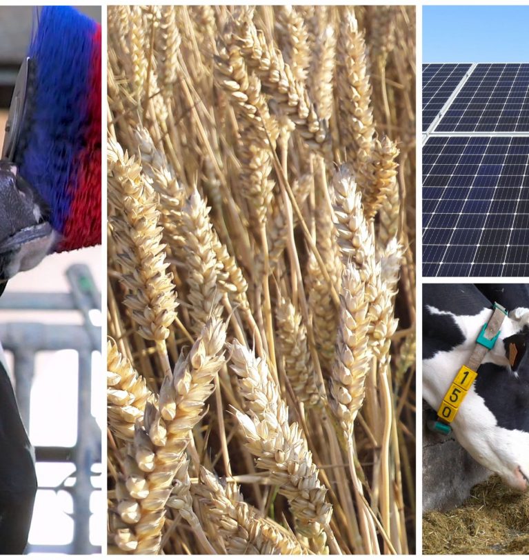 Coltiviamo latte di valore: il nuovo sito web Compral racconta cosa c’è dietro un prodotto chiave dell’agroalimentare piemontese