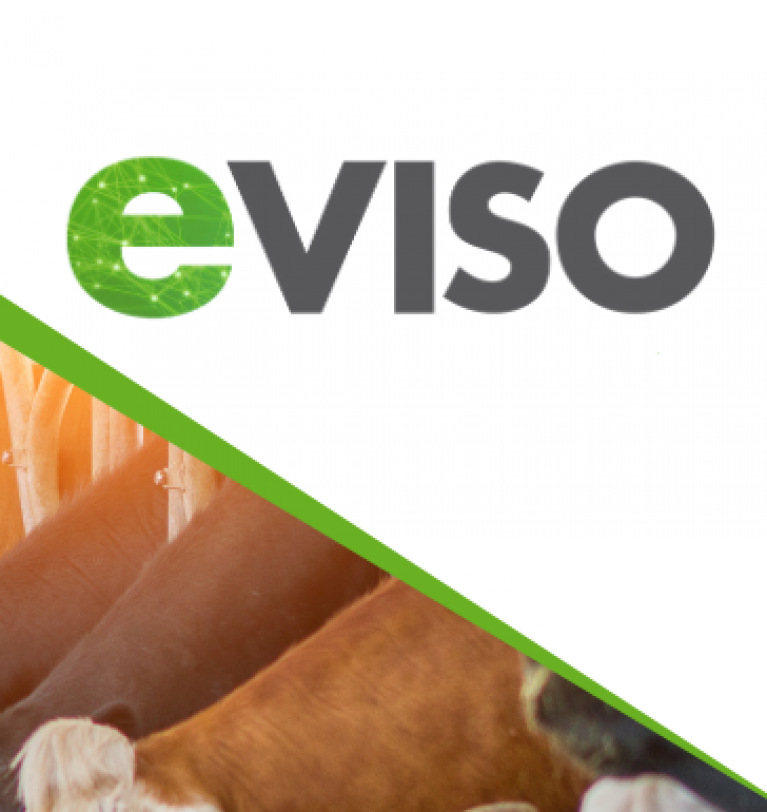 Partner di filiera: l’energia rinnovabile e la tecnologia del risparmio eVISO